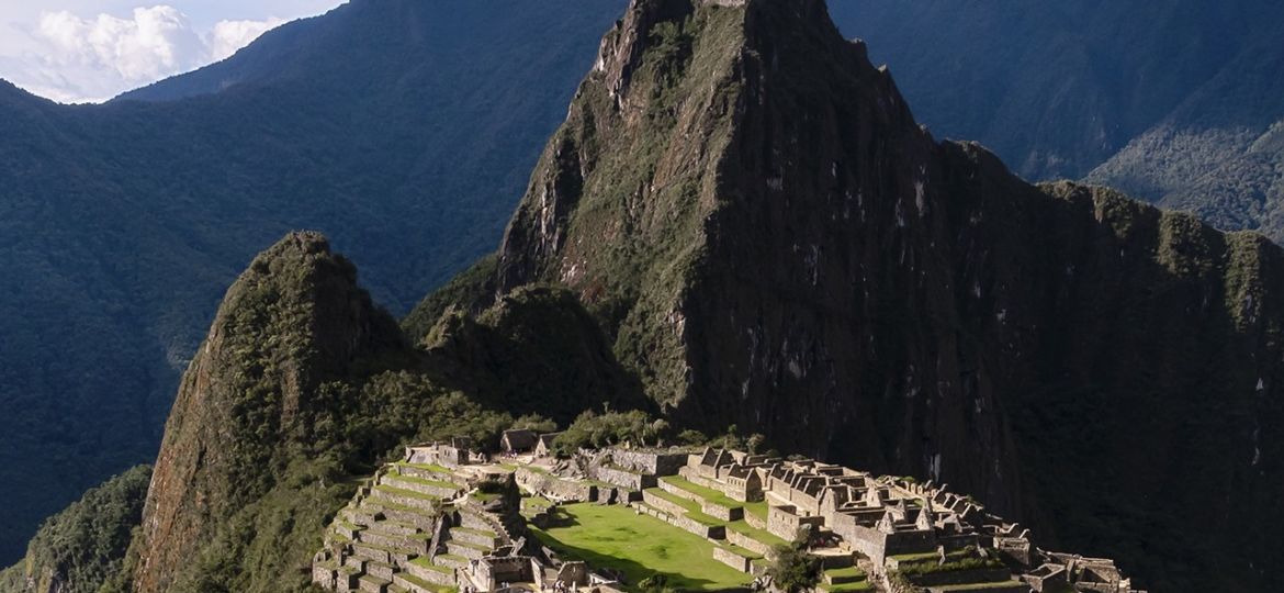 Llama en Machupicchu