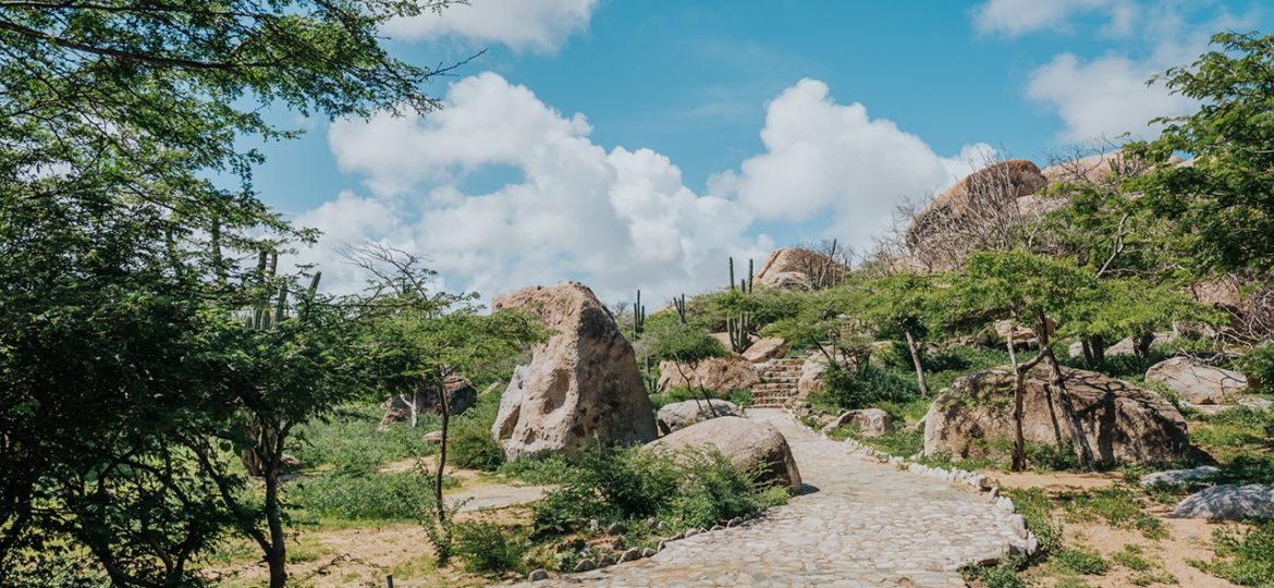 aruba 0522